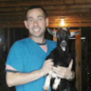 Meet your Posher, Joe